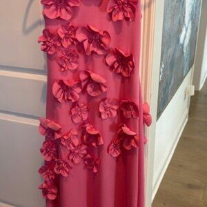 Olivia Label - NEW - Hot Pink Size Small Adeline Dress - Beautiful!!